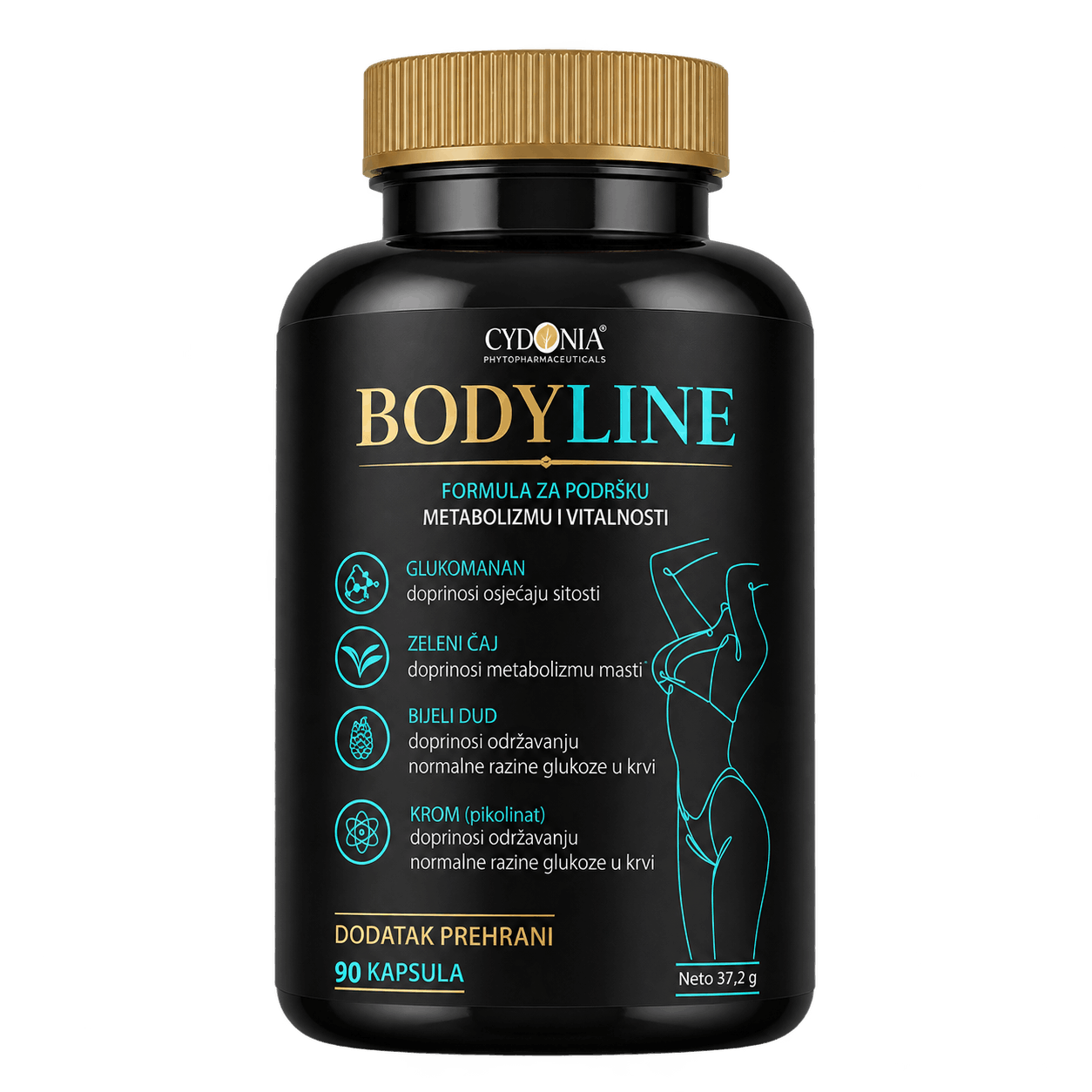 BodyLine